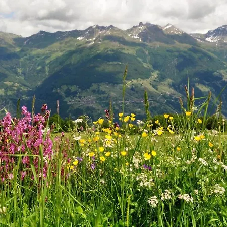 Apartment Near Ski-lift *