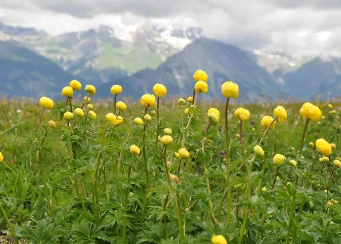 아파트 Near Ski-lift *