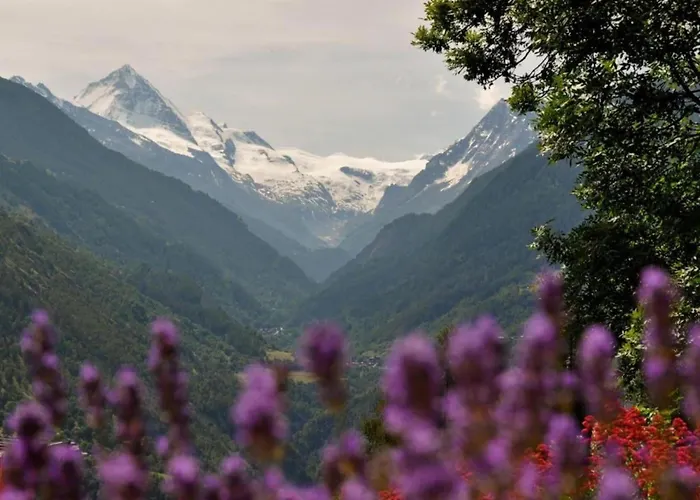 Near Ski-lift 아파트 베이소나츠